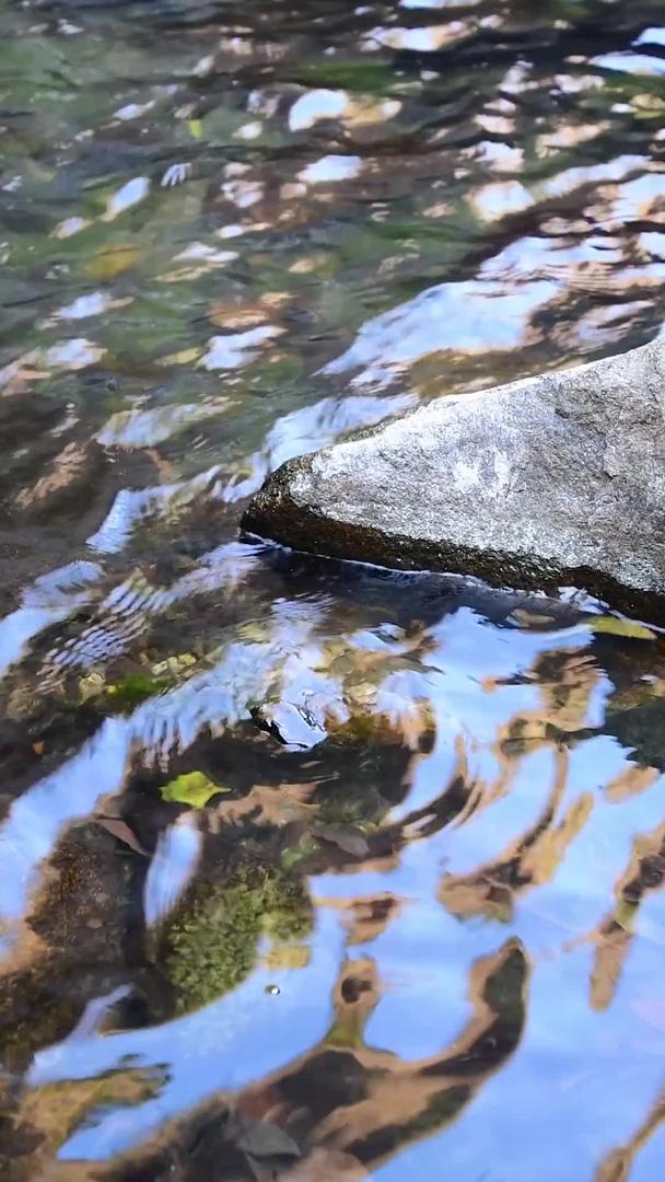 小溪溪溪流水潭视频的预览图