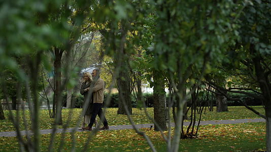 秋天情侣散步视频的预览图