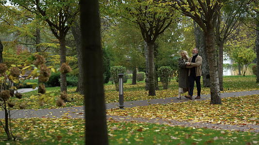 幸福的老夫妇在秋天散步视频的预览图