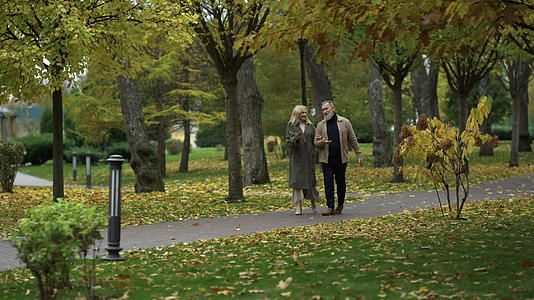 快乐的老夫妇走在路上视频的预览图