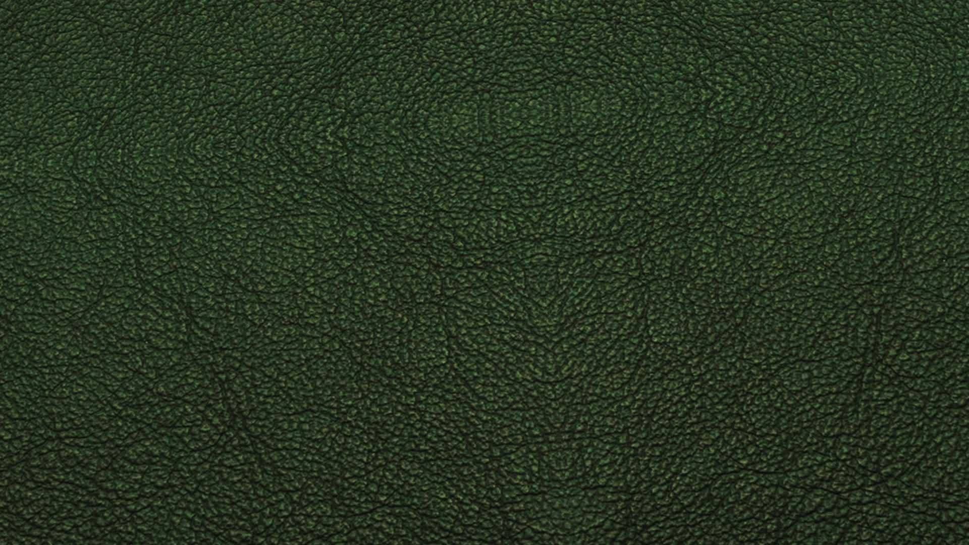 绿墙皮革背景hd视频的预览图