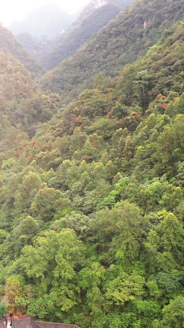 贵州旅游圣地荔波小七孔景区自然风光视频的预览图