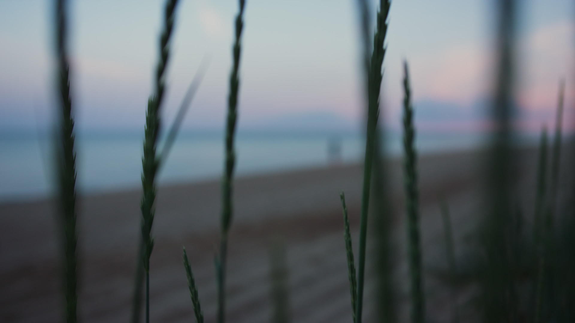 黄昏日落时分走海沙滩海岸线的女性剪影视频的预览图