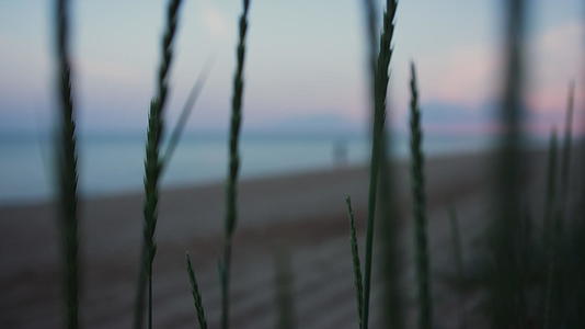 黄昏日落时分走海沙滩海岸线的女性剪影视频的预览图