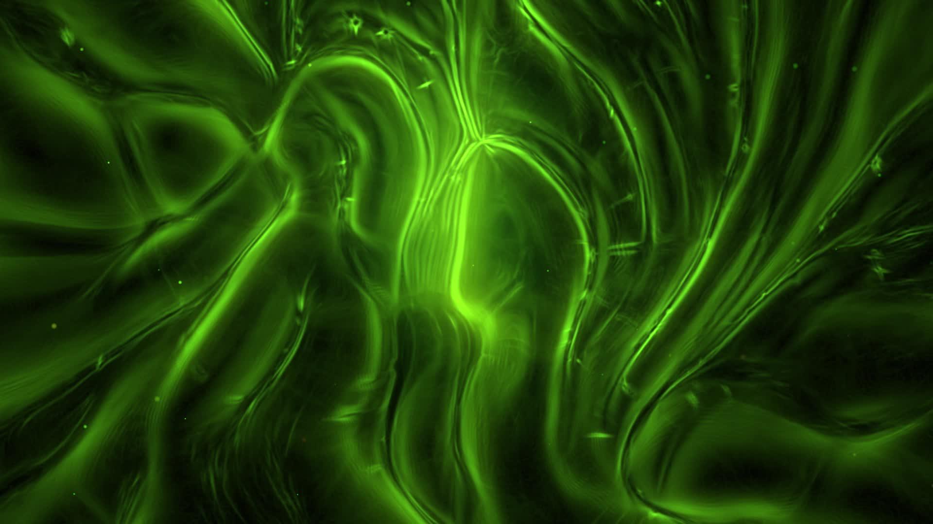 抽象绿光照背景视频的预览图