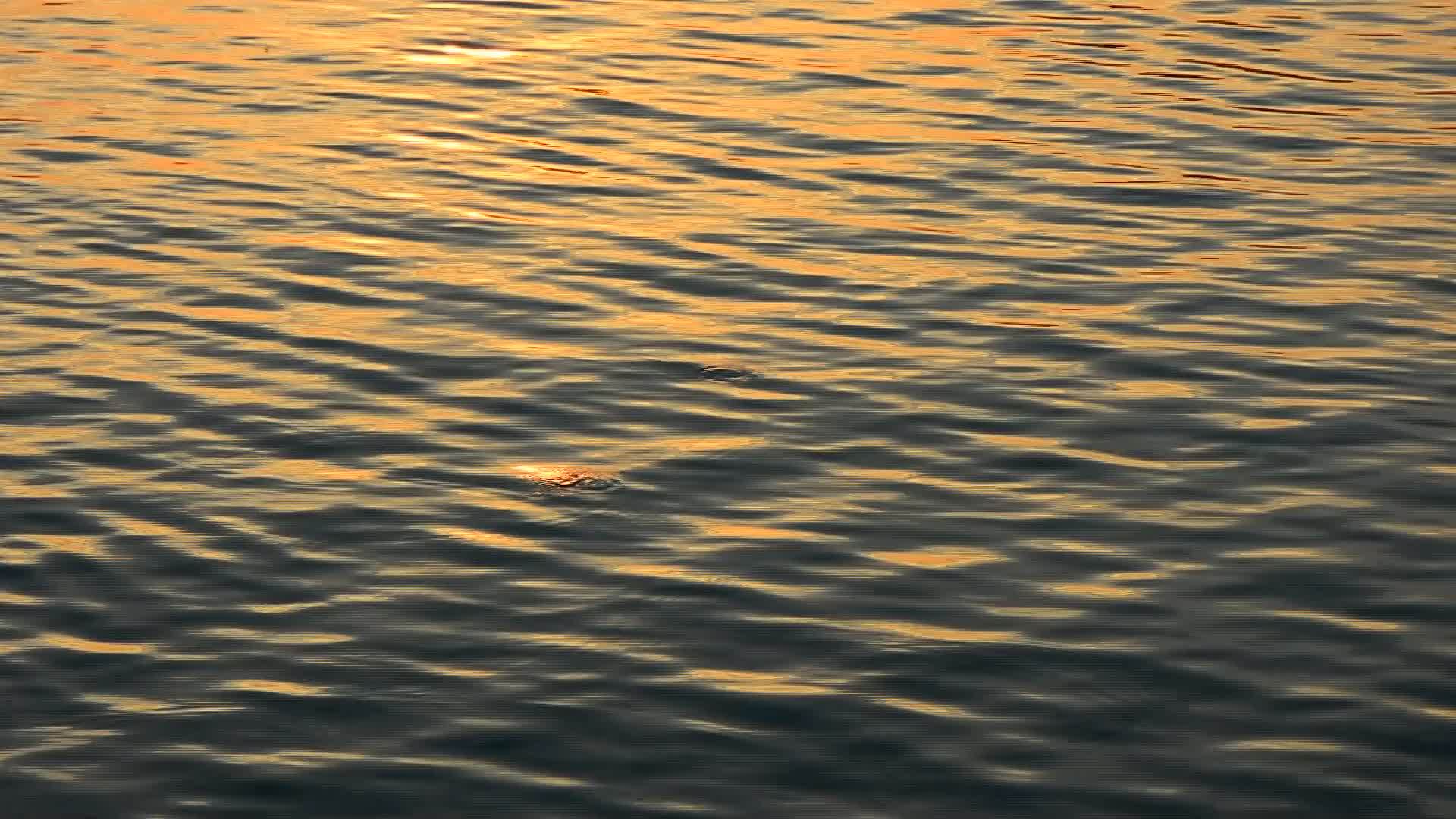 明亮的水在日落和夏天闪耀视频的预览图