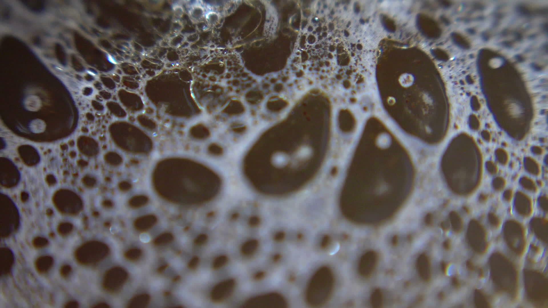 泡沫肥皂泡沫反弹泡沫背景泡沫宏观结构特写视频的预览图