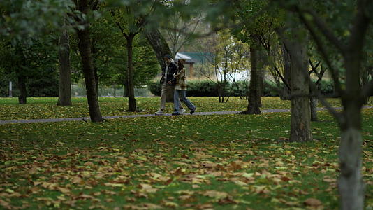 秋天公园里的年轻情侣视频的预览图