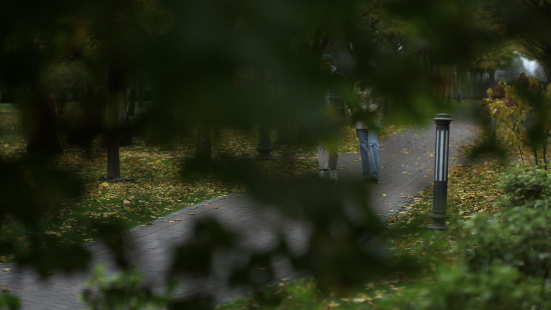 美丽的恋人在浪漫的秋天在公园约会视频的预览图
