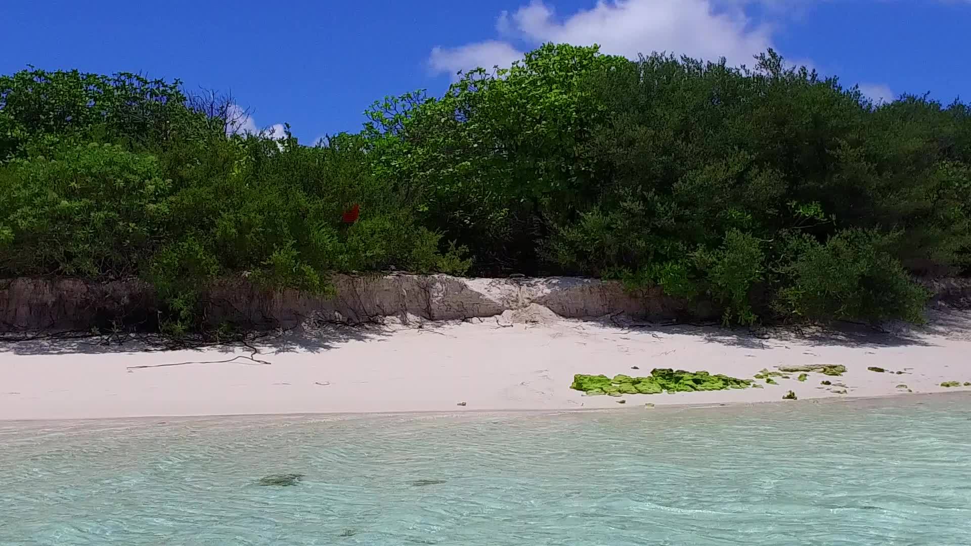 度假村附近的绿松石海和明亮的海滩背景视频的预览图