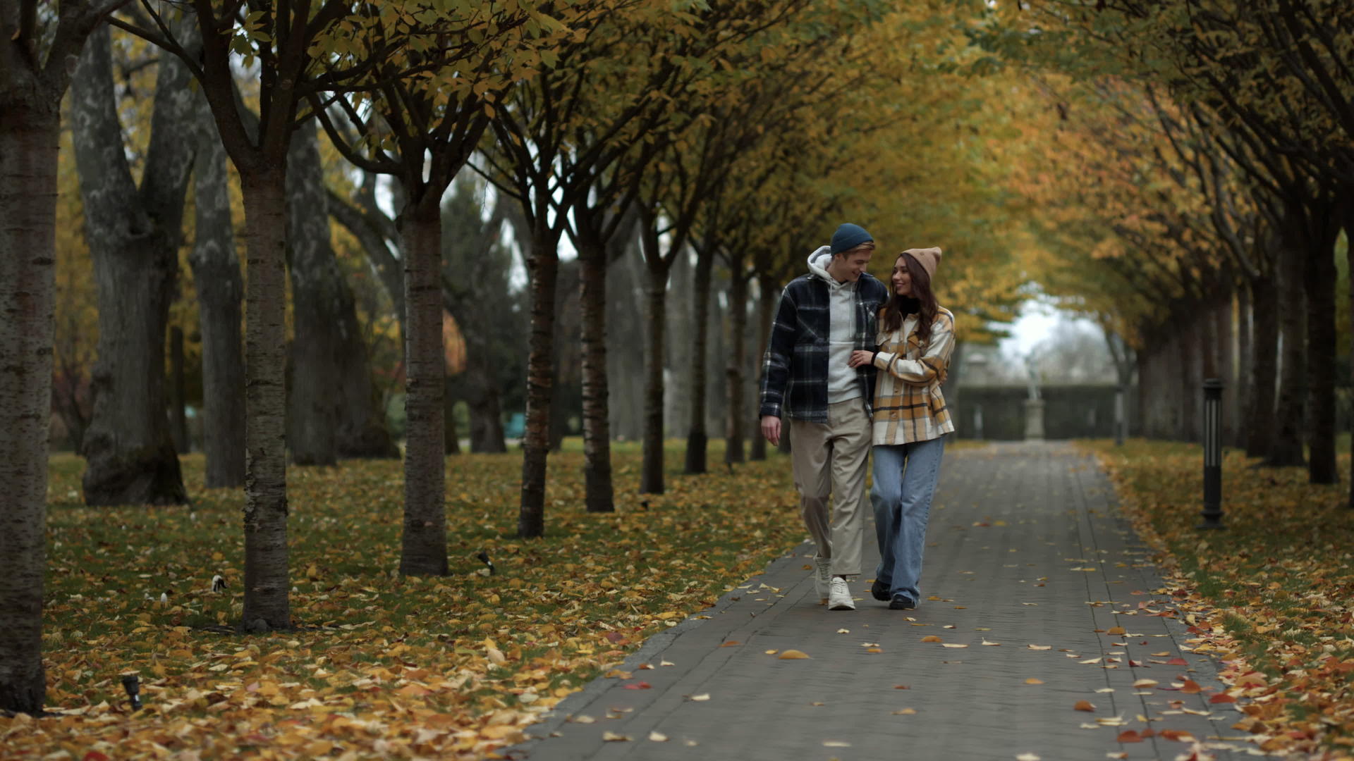 快乐的情侣们在灌木丛公园的小巷里快乐地行走视频的预览图