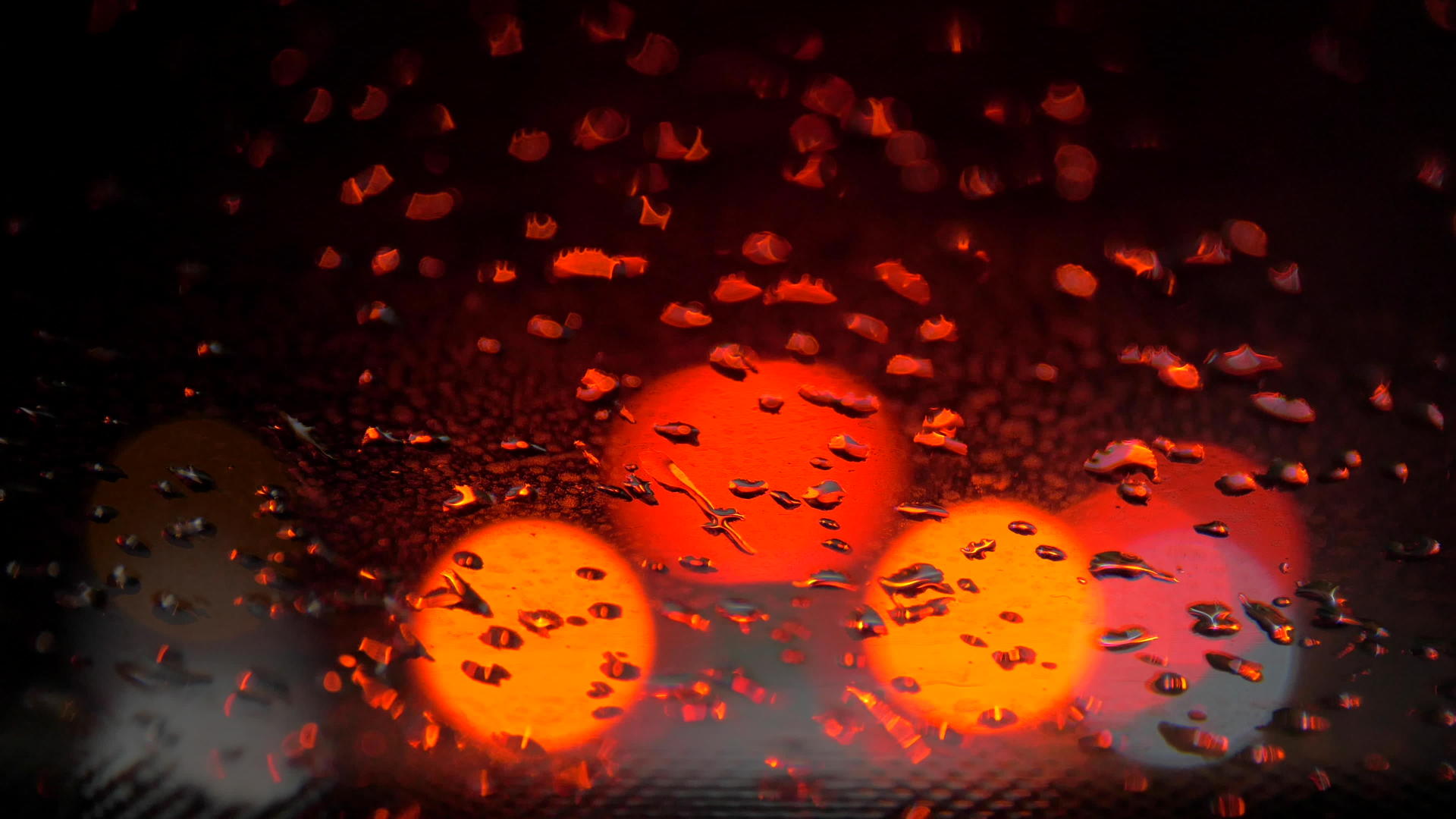 湿玻璃和夜光灯采摘视频的预览图