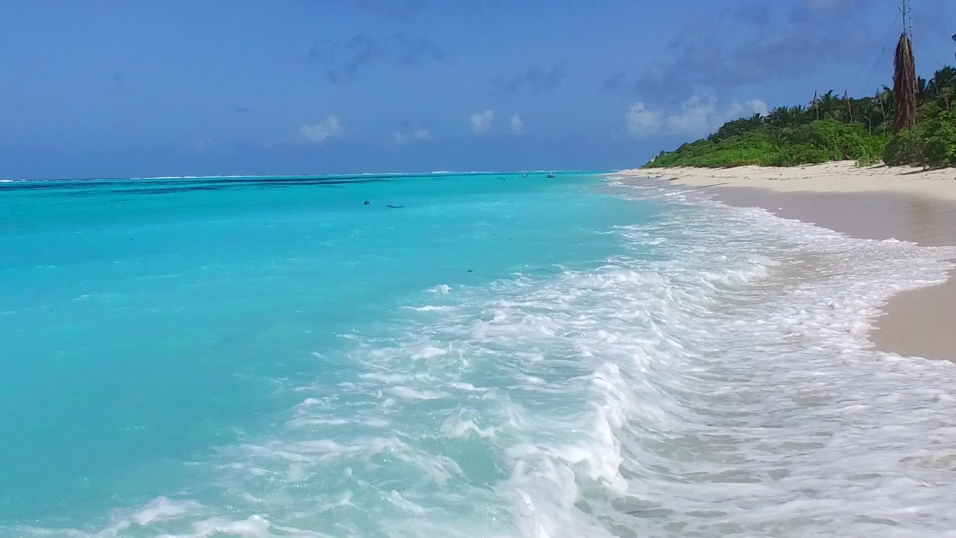 完美的岛屿海滩时空蓝色的水和棕榈树附近的白色海滩背景视频的预览图