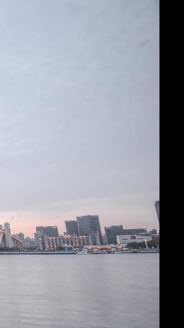 黄浦江上海卢浦大桥日夜延迟视频的预览图