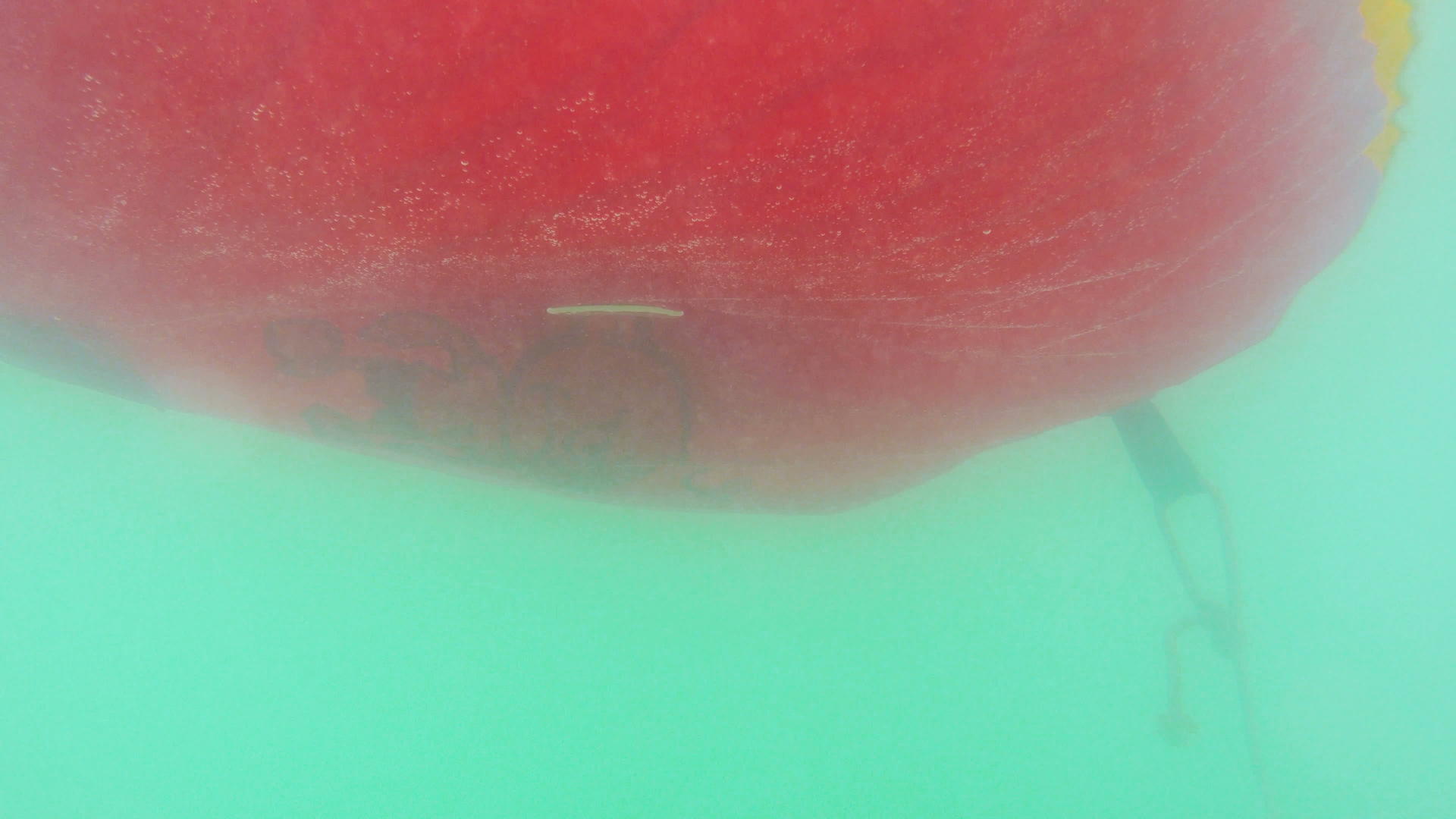 充气环漂浮在水中视频的预览图