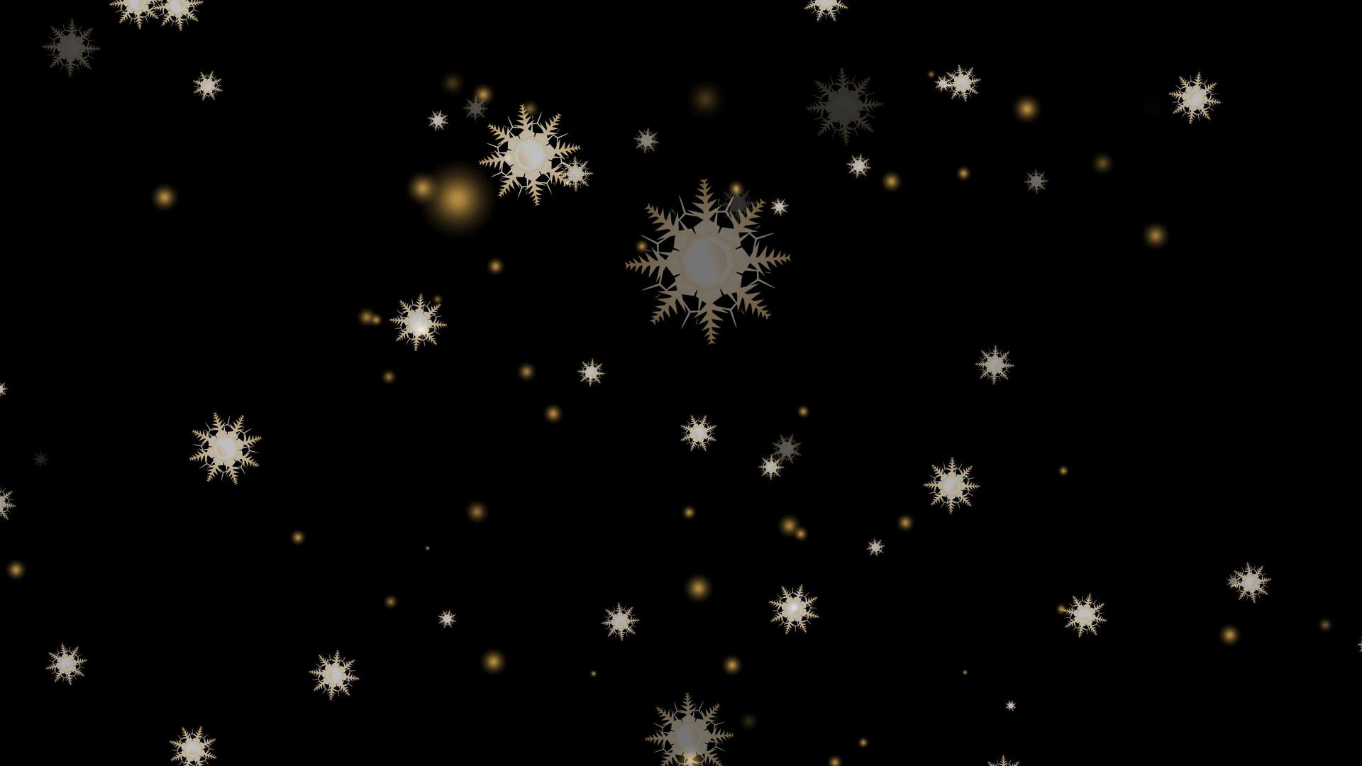 八根树枝落在黑屏上的圣诞节和圣诞节前夕的冰尘颗粒视频的预览图