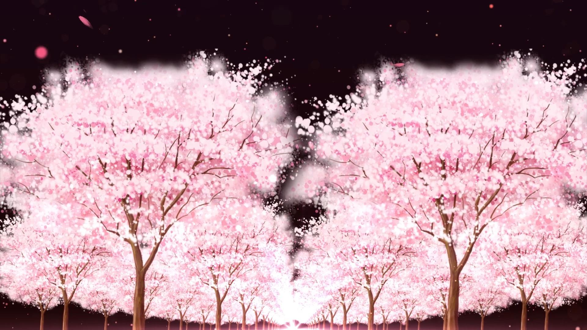 唯美动态樱花树穿梭动态背景视频素材视频的预览图
