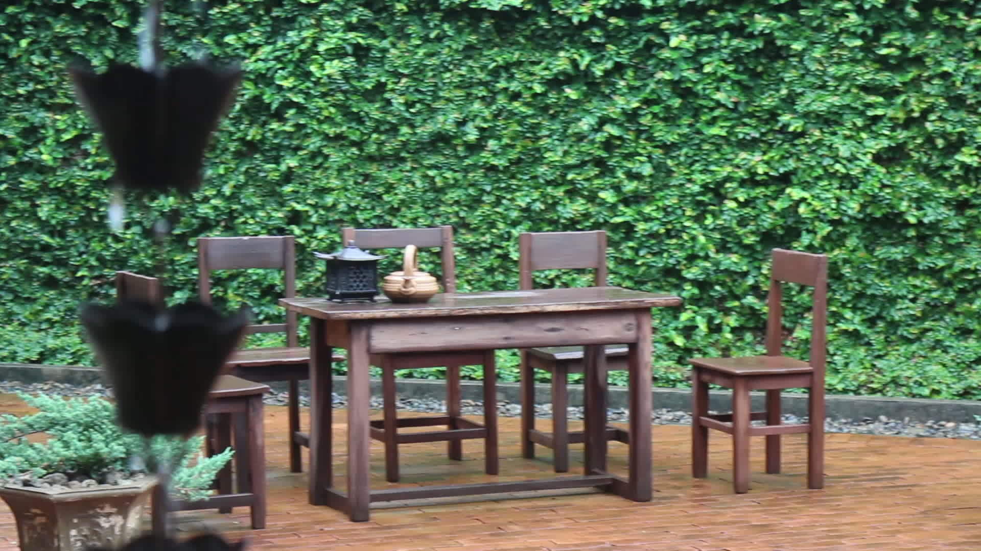 室外木制家具周围环境自然视频的预览图