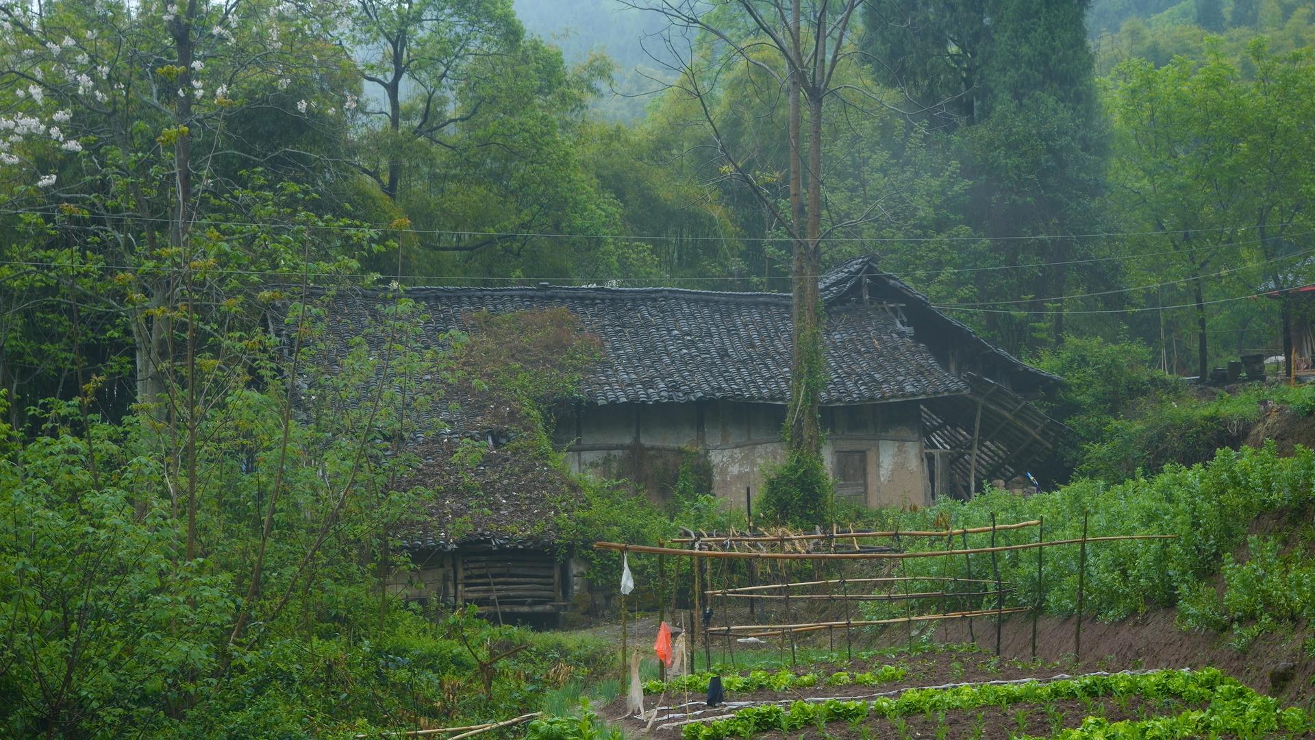 江南乡村老房子视频的预览图