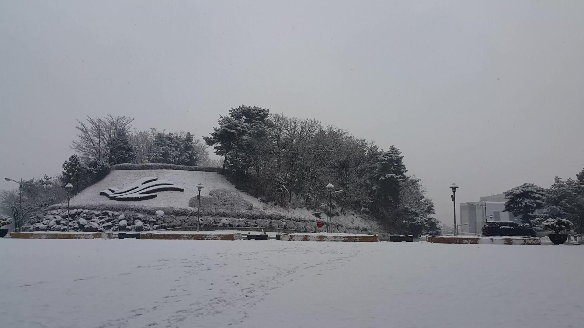 冬天在公园里看到地面和树上的雪视频的预览图