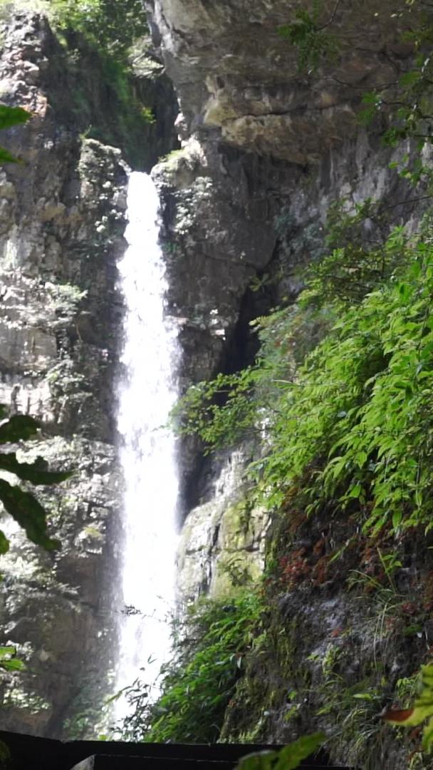 重庆黑山谷游客游览神龙峡瀑布5A级旅游景点视频的预览图