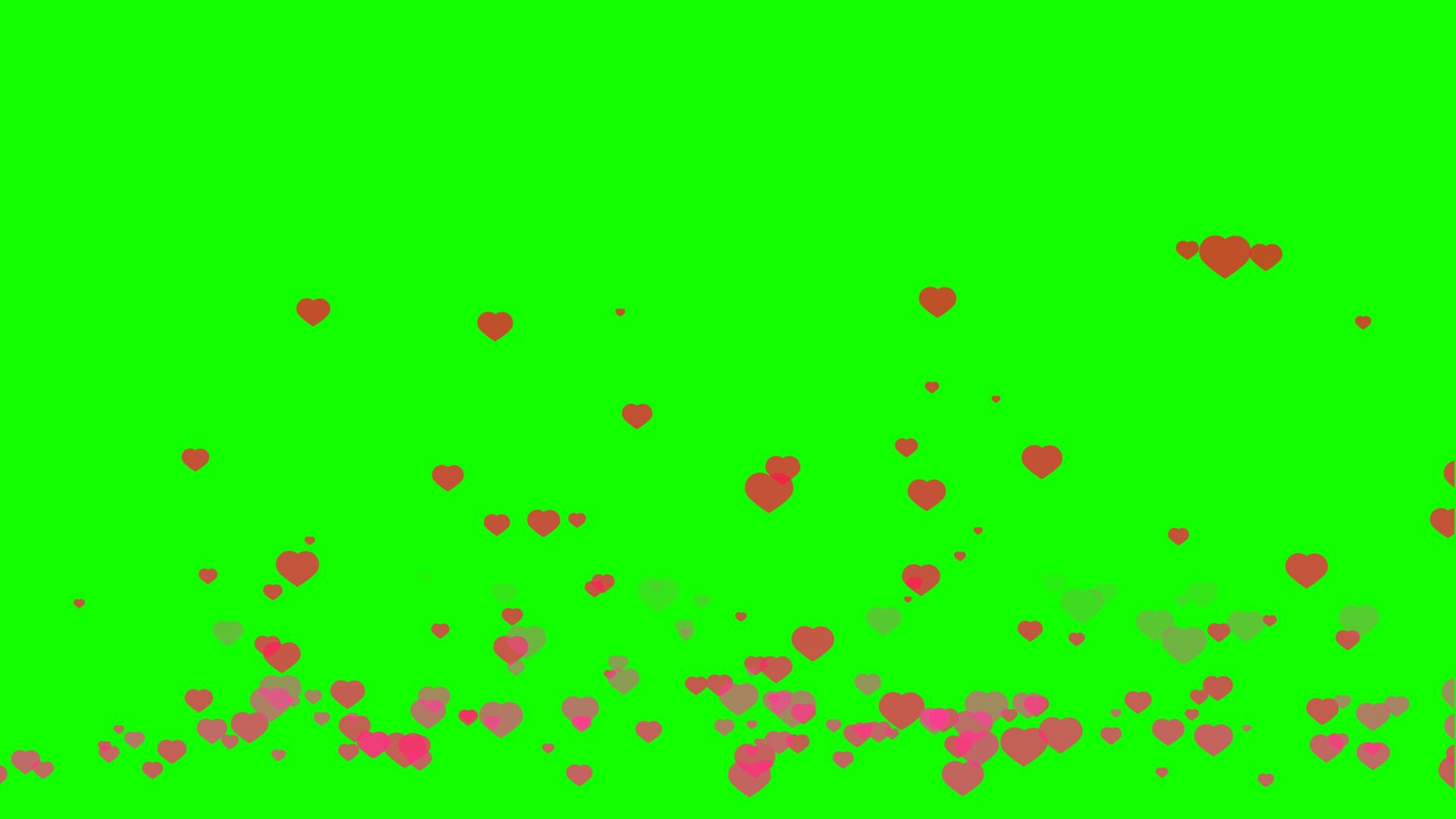 粉红色的心坠落变成红色飞向顶部绿色屏幕视频的预览图
