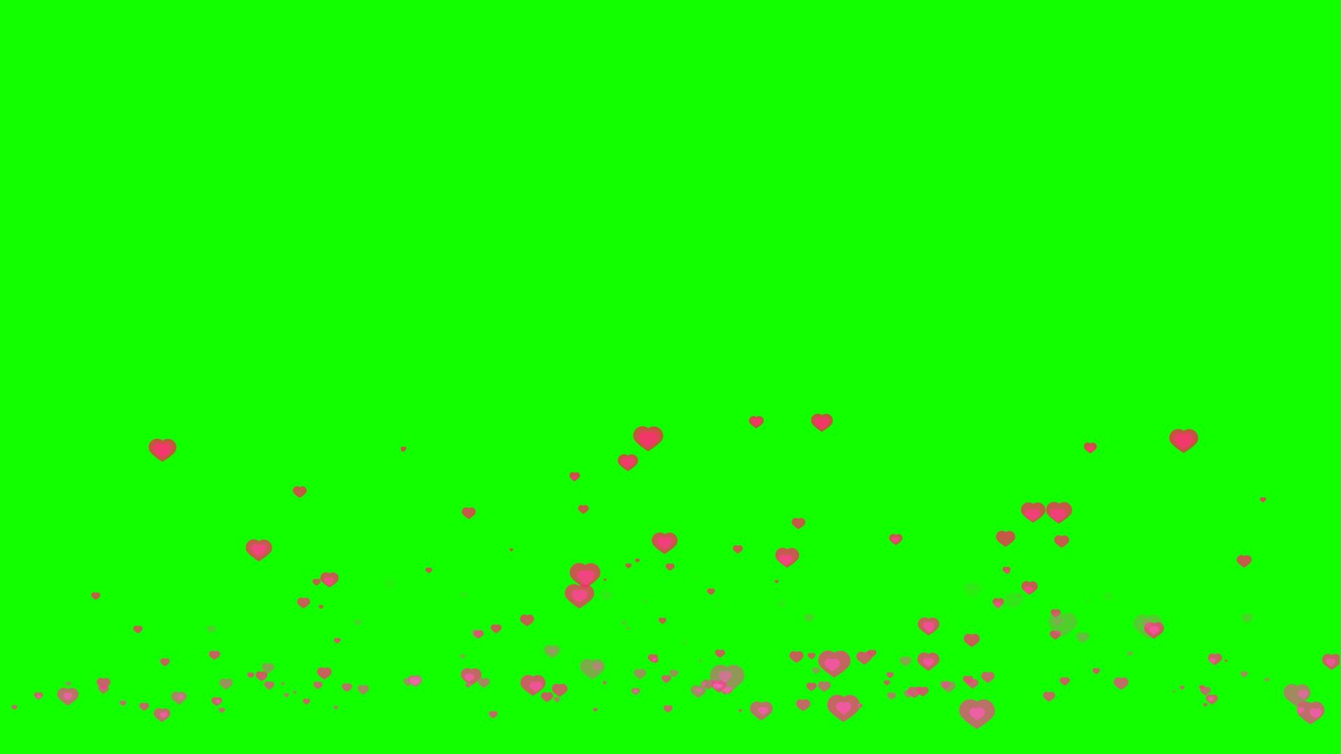 出生在深粉色中的小心脏和在绿色屏幕上飞舞的死红色视频的预览图