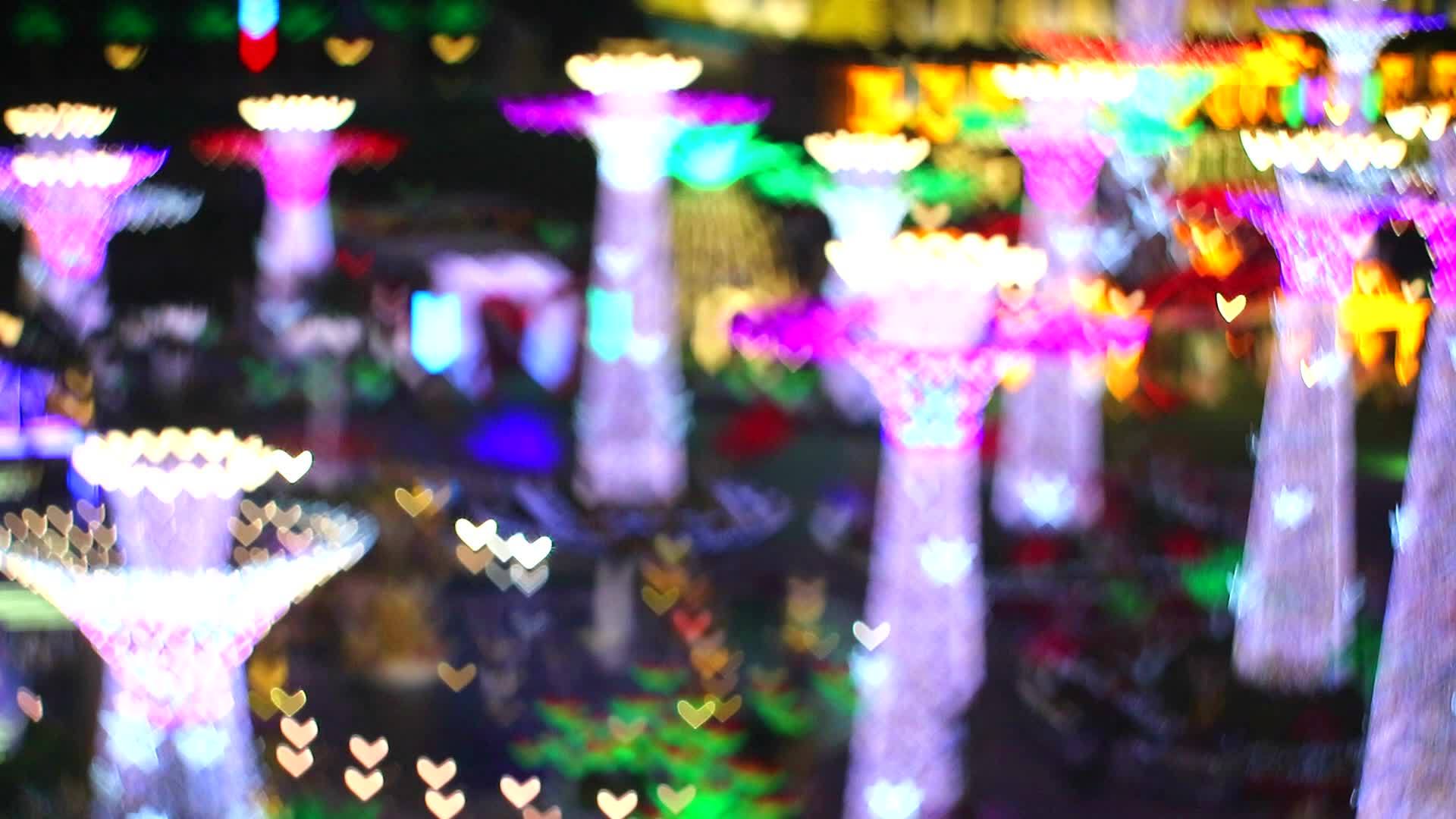 情人节2号树上的灯笼视频的预览图