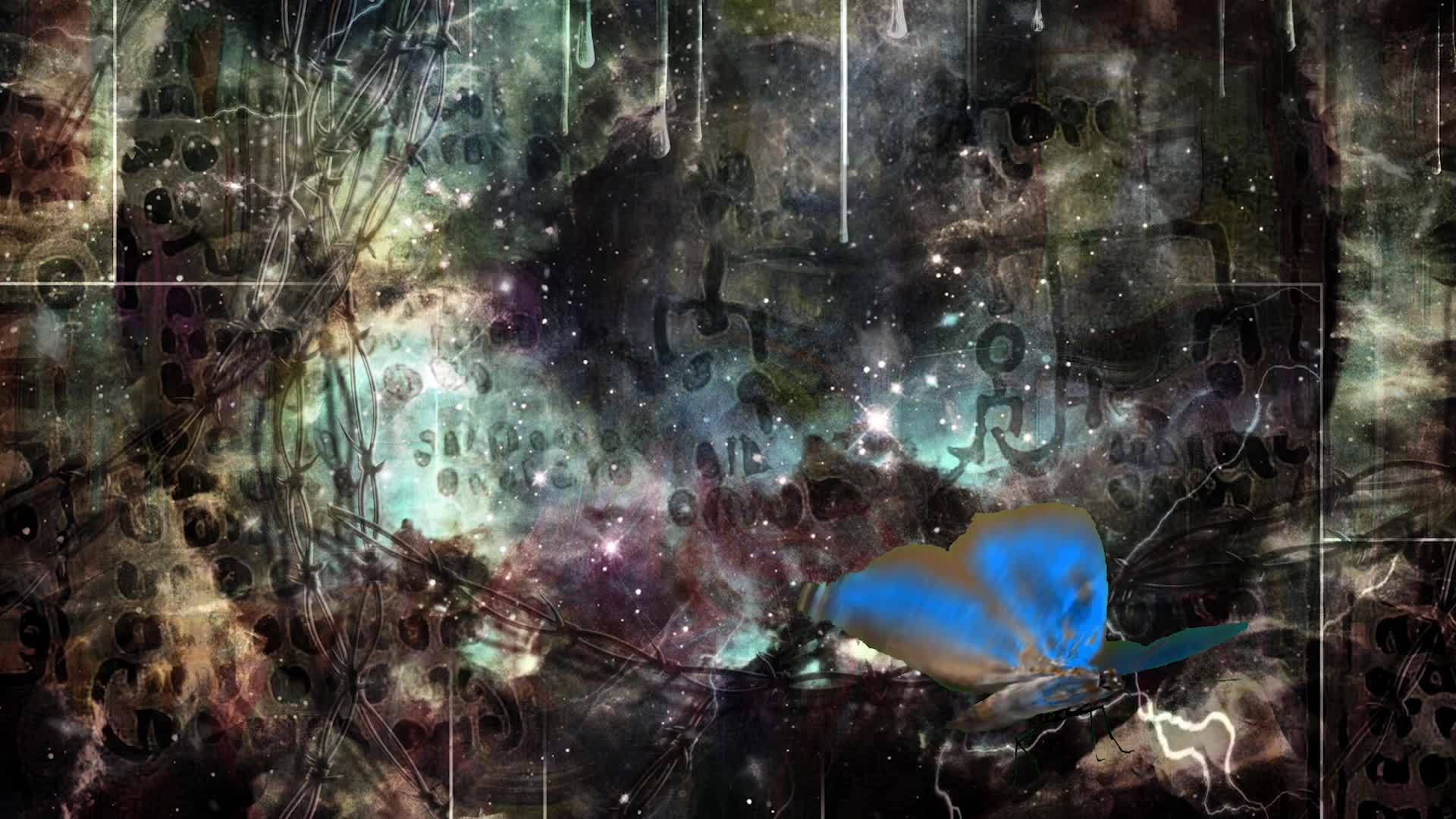 蝴蝶在超真实的黑暗艺术中视频的预览图