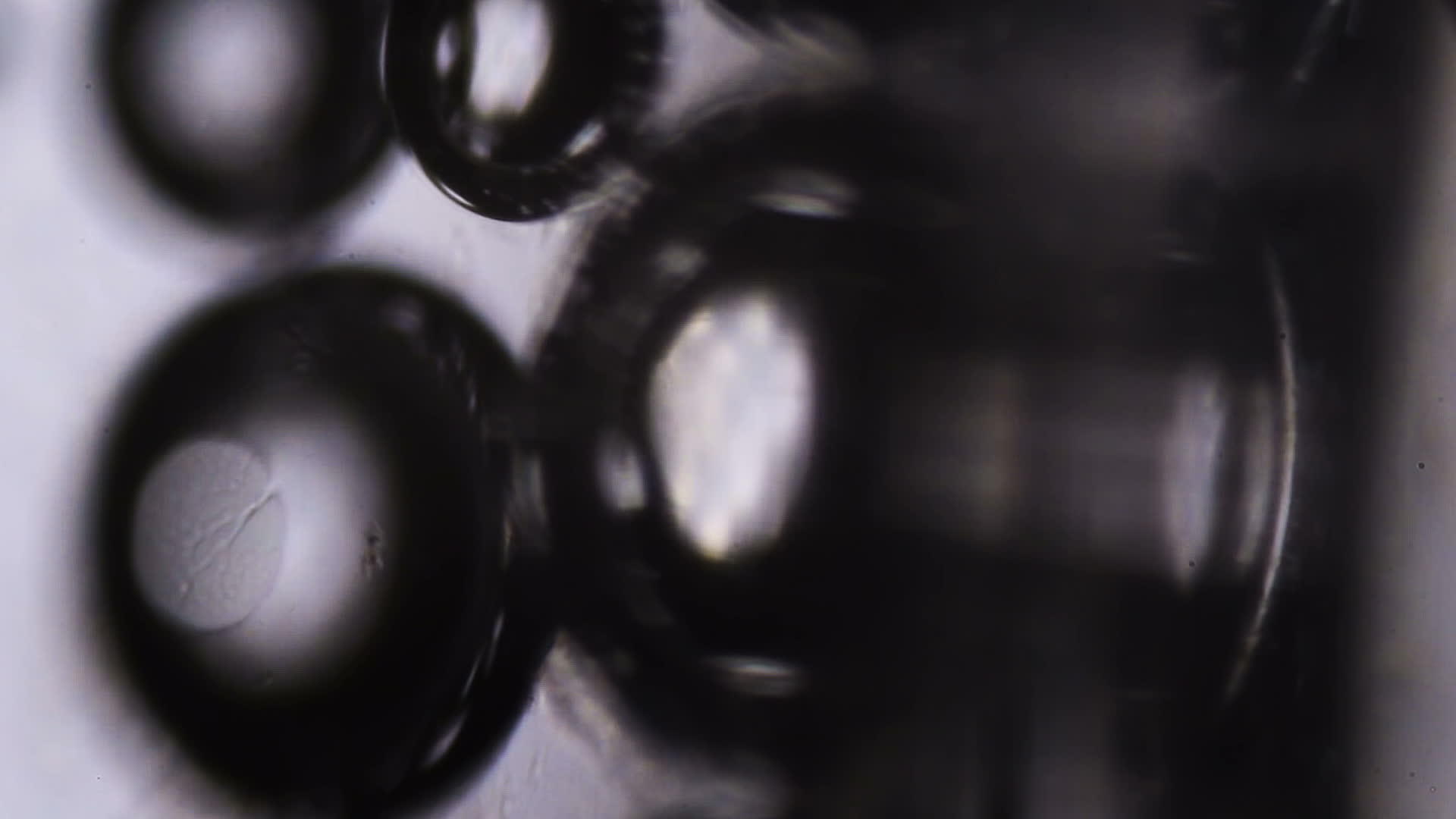 显微镜下的水泡视频的预览图