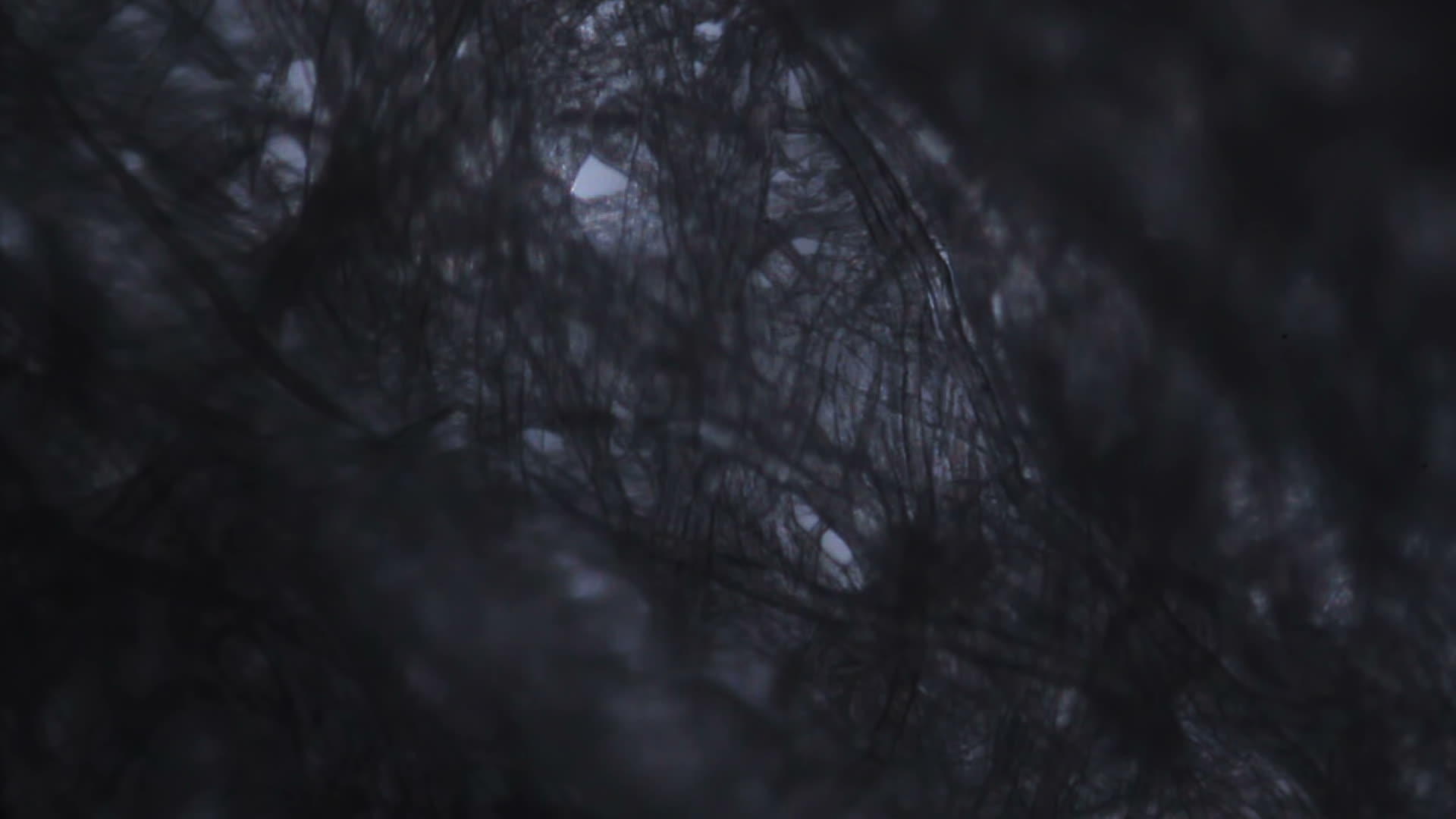 组织纸纤维在显微镜下视频的预览图