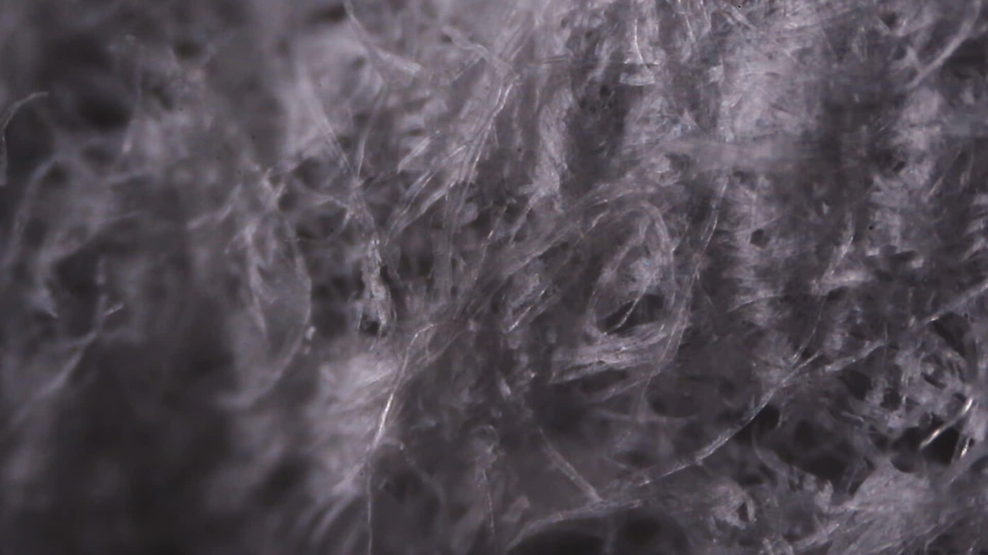 组织纸纤维在显微镜下视频的预览图