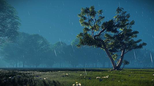 雨中小树三维风光背景视频的预览图