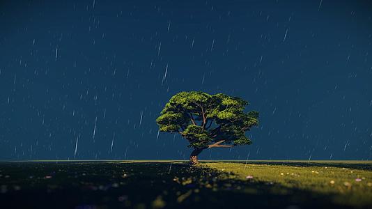 雨中小树三维风光背景视频的预览图