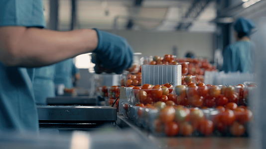 番茄工厂工人特写操作生产过程分拣包视频的预览图
