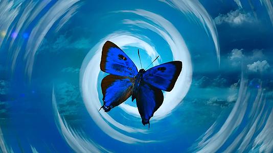 蓝蝴蝶在云中视频的预览图