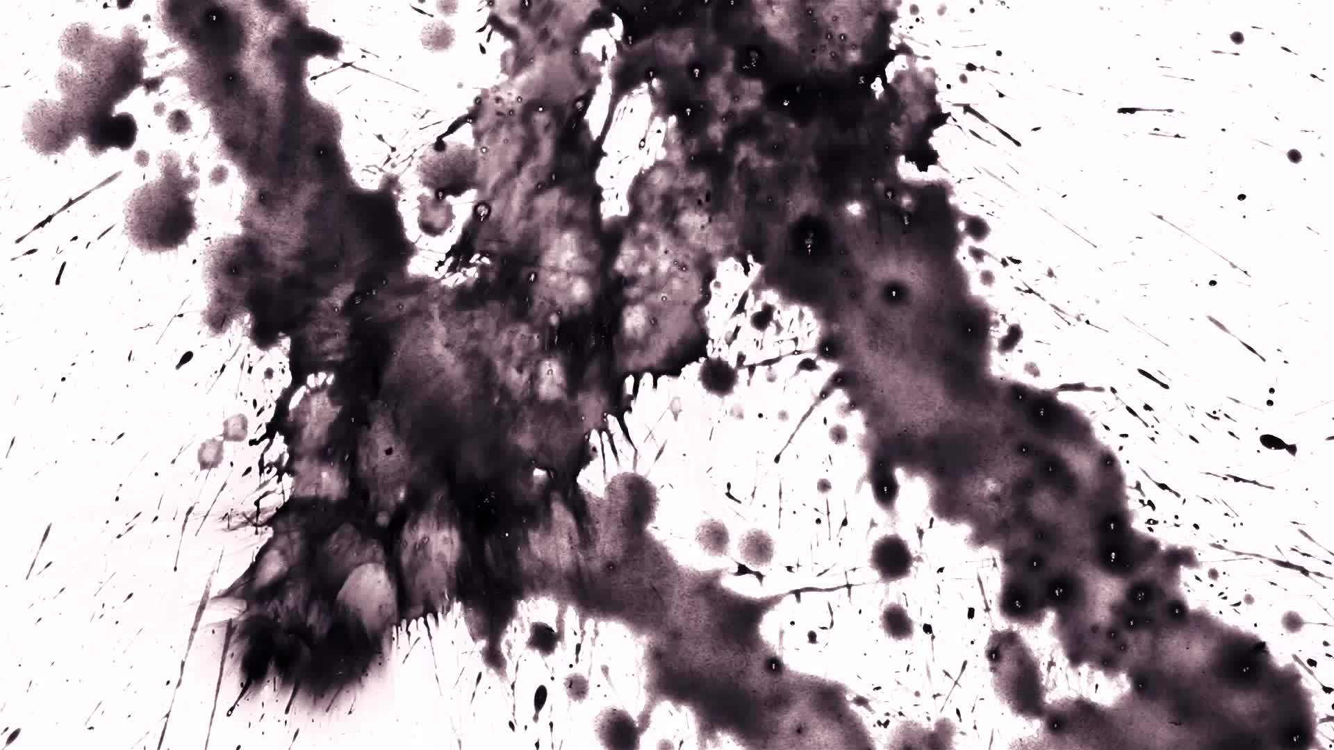 黑色墨水在白色背景上喷洒视频的预览图
