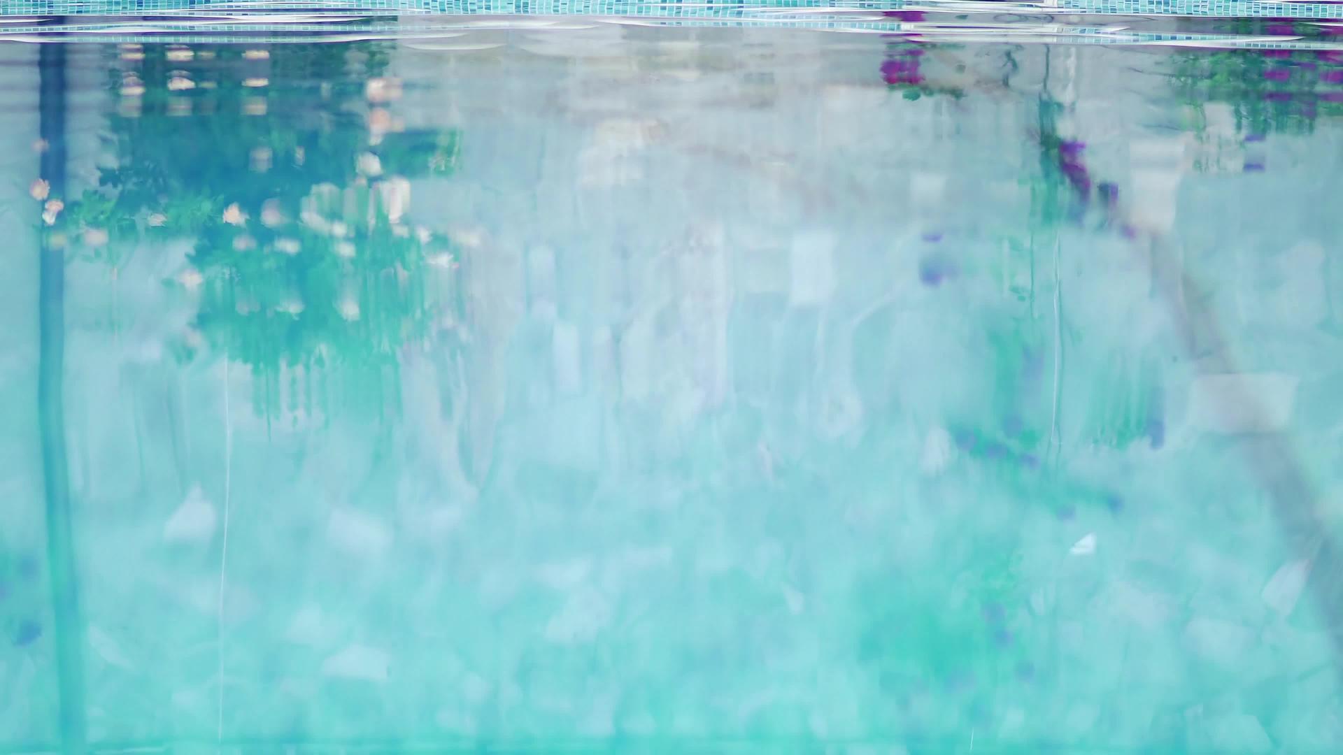 池水地表水背景环视频的预览图