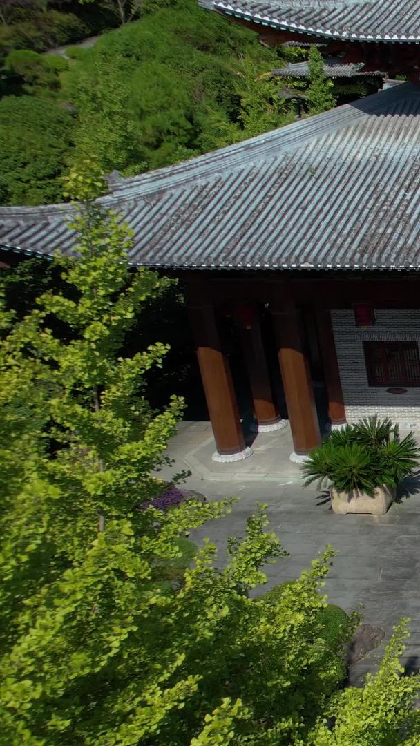 衢州根宫佛国景区华夏佛教文化根雕博物馆全景航拍视频视频的预览图