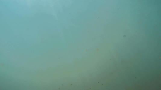 水下海景的自然光在水中闪闪发光视频的预览图