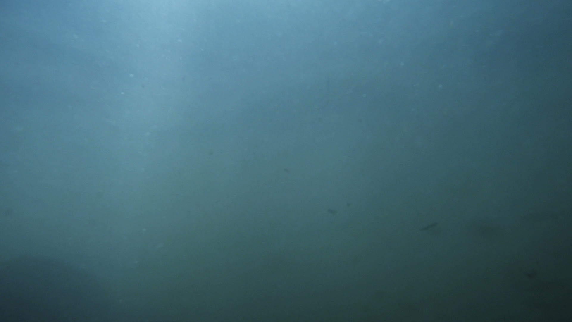 水下海景的自然光在水中闪闪发光视频的预览图