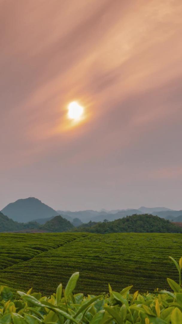 推迟茶山日落夕阳视频的预览图