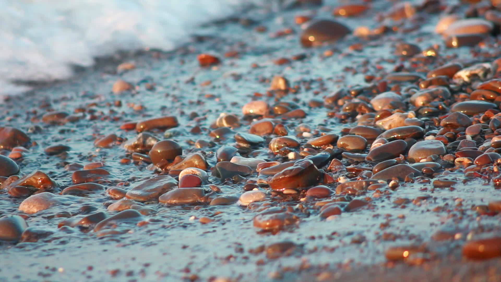 海海视频的预览图