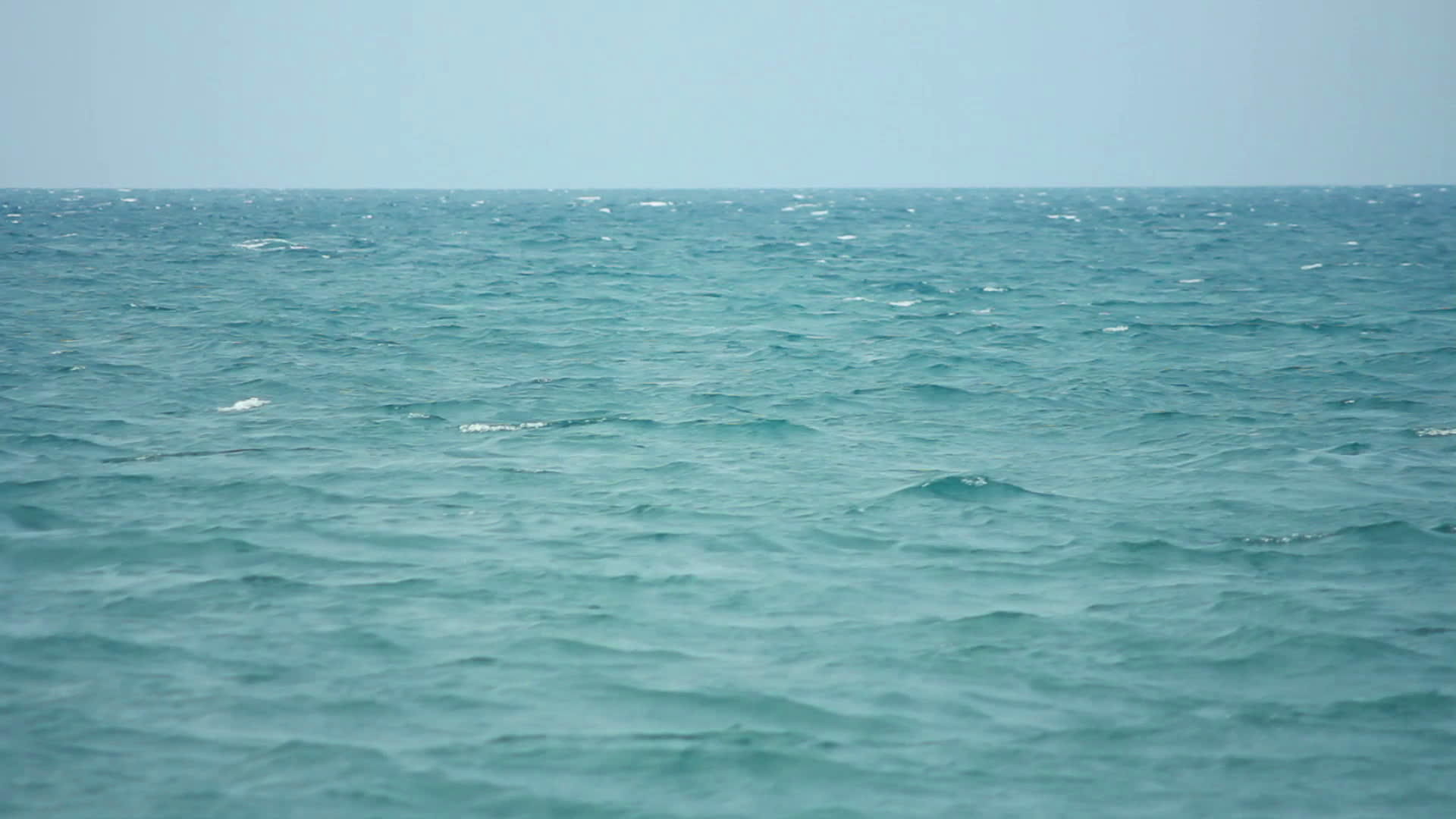 海海视频的预览图