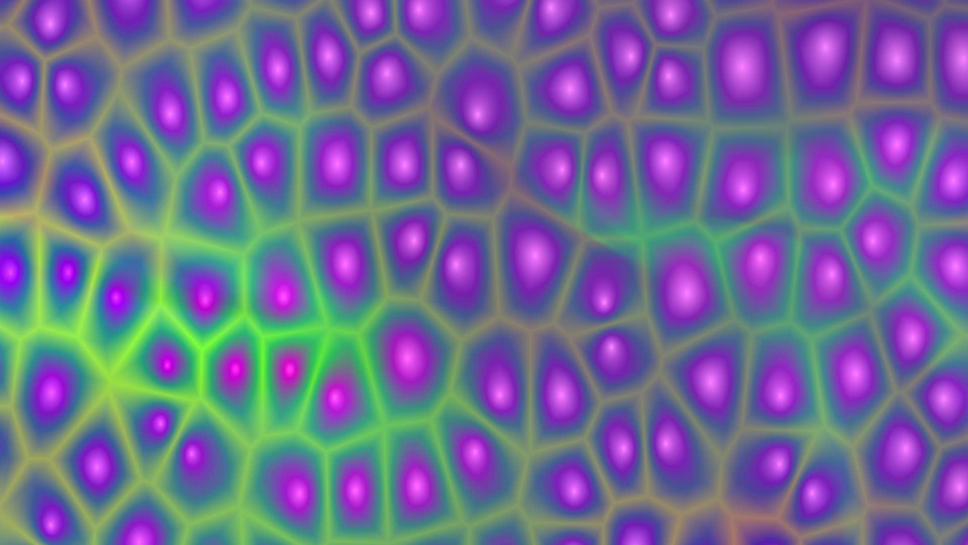 抽象纹理光紫绿色背景视频的预览图