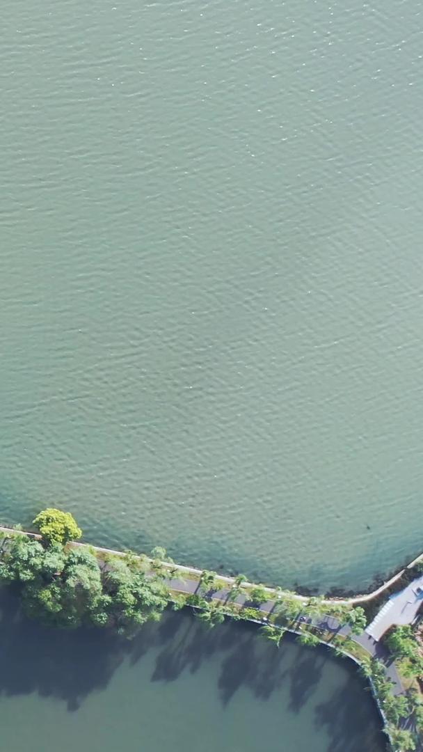 航拍城市风景武汉旅游地标东湖素材视频的预览图