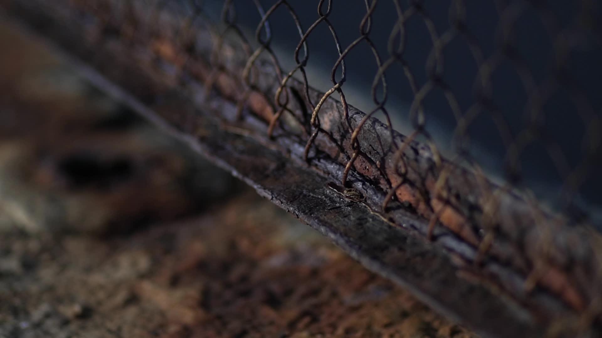 栅栏网盖上生锈的金属腐蚀视频的预览图