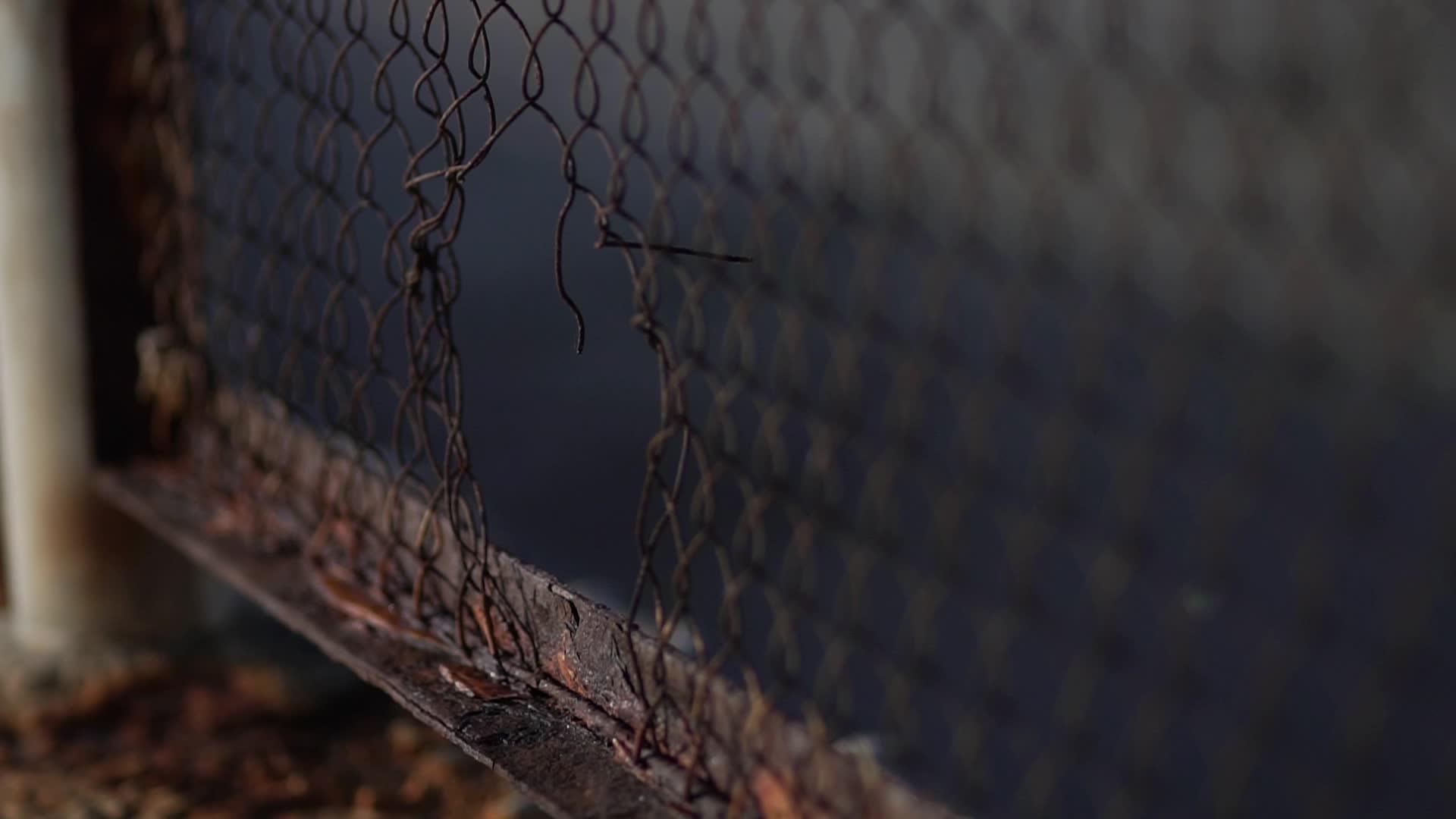 栅栏网生锈金属视频的预览图