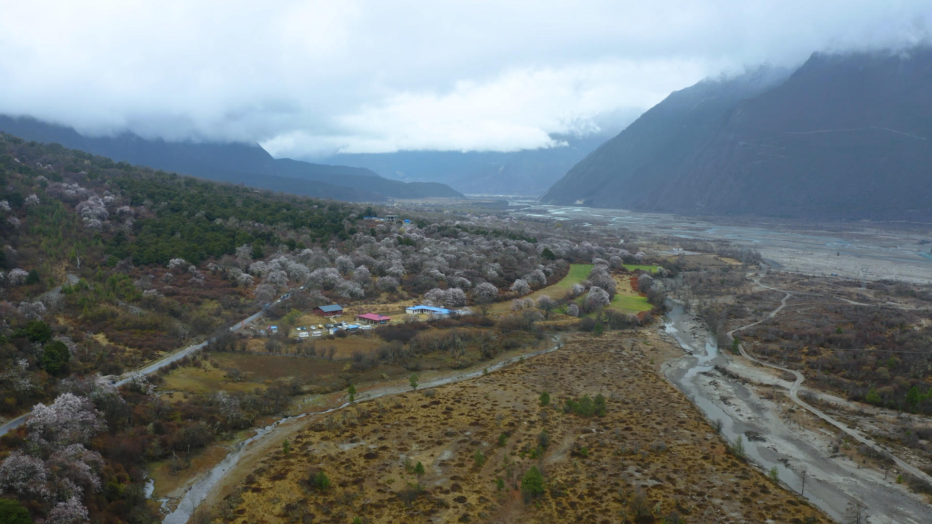 西藏林芝桃花春天万物复苏农村4k航拍视频的预览图