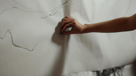画家在白色背景上画画视频的预览图